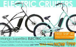 mango superbird ebike