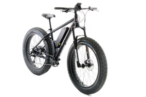 gravity electric bike