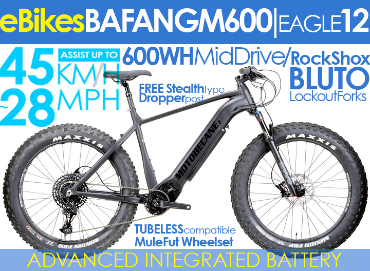 Electric Fat Bike, Best Deals