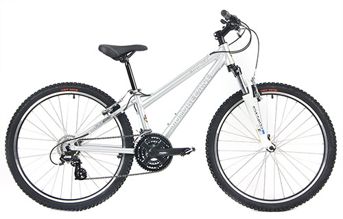 MTB - Mountain Bikes - 300HT